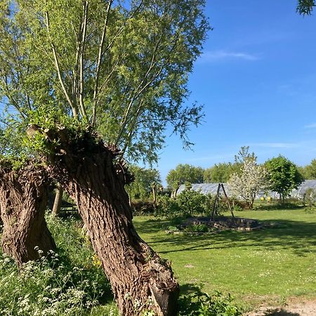 Appels en Peren Bed and Breakfast Breezand Exteriör bild