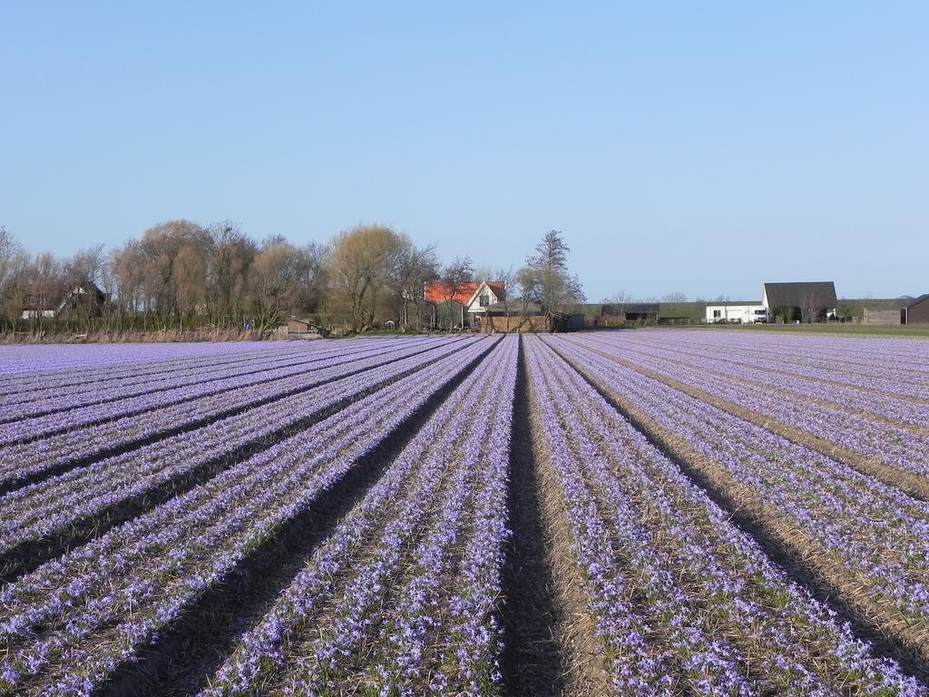 Appels en Peren Bed and Breakfast Breezand Exteriör bild
