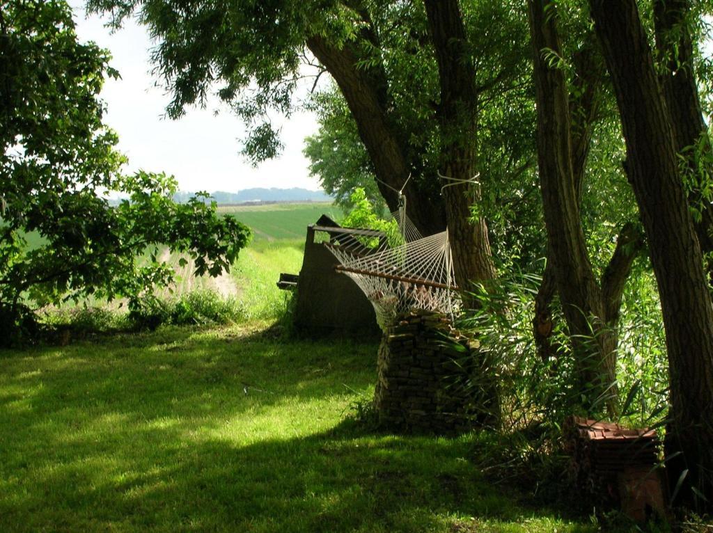 Appels en Peren Bed and Breakfast Breezand Rum bild