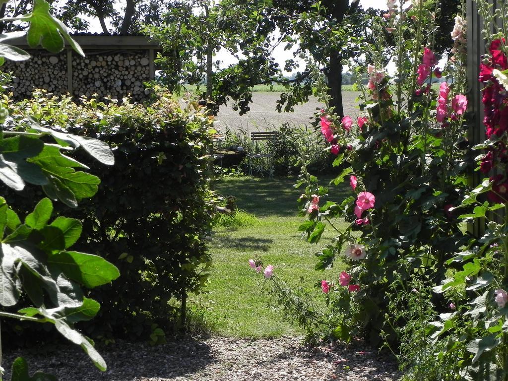 Appels en Peren Bed and Breakfast Breezand Rum bild