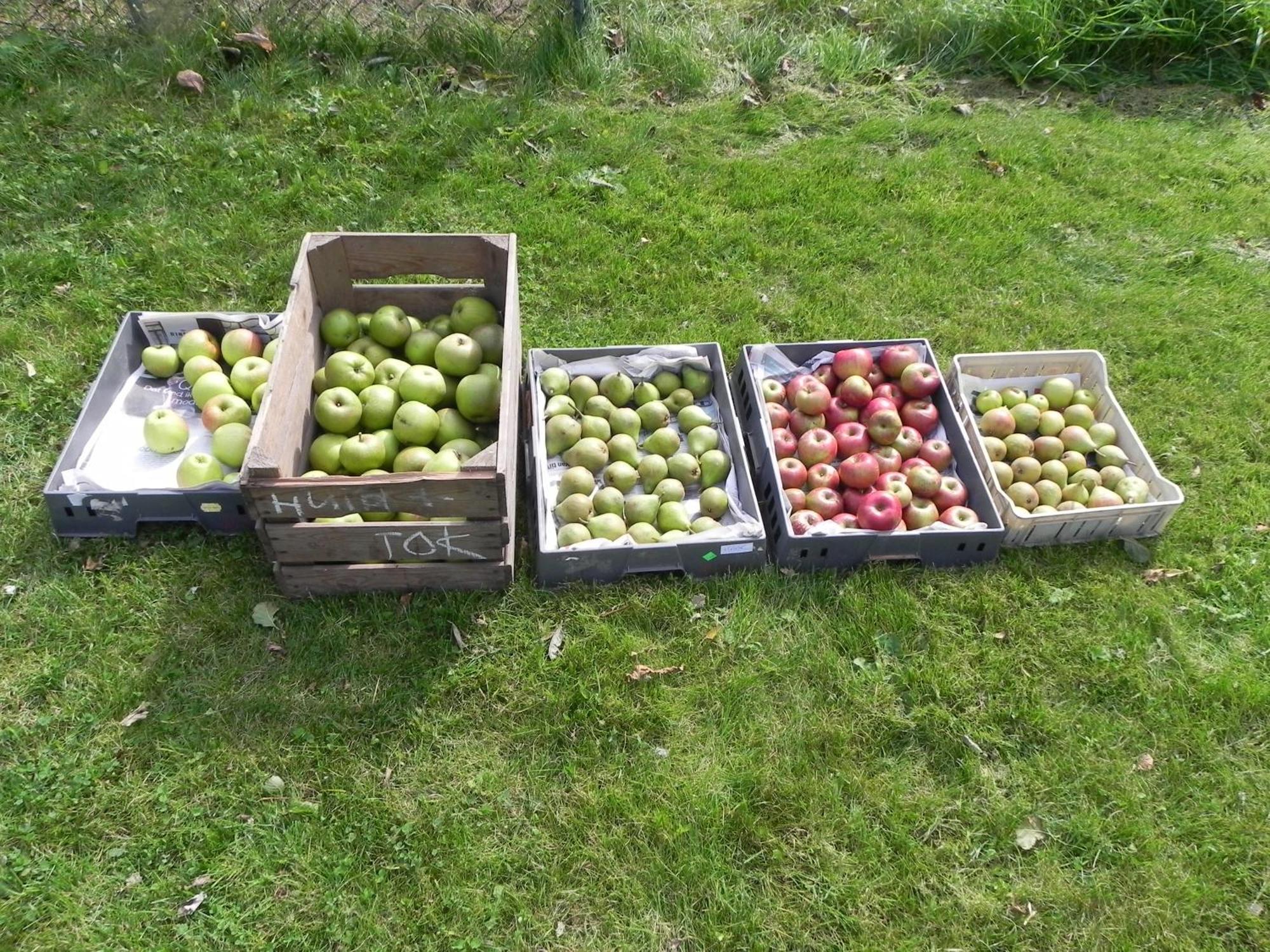 Appels en Peren Bed and Breakfast Breezand Exteriör bild