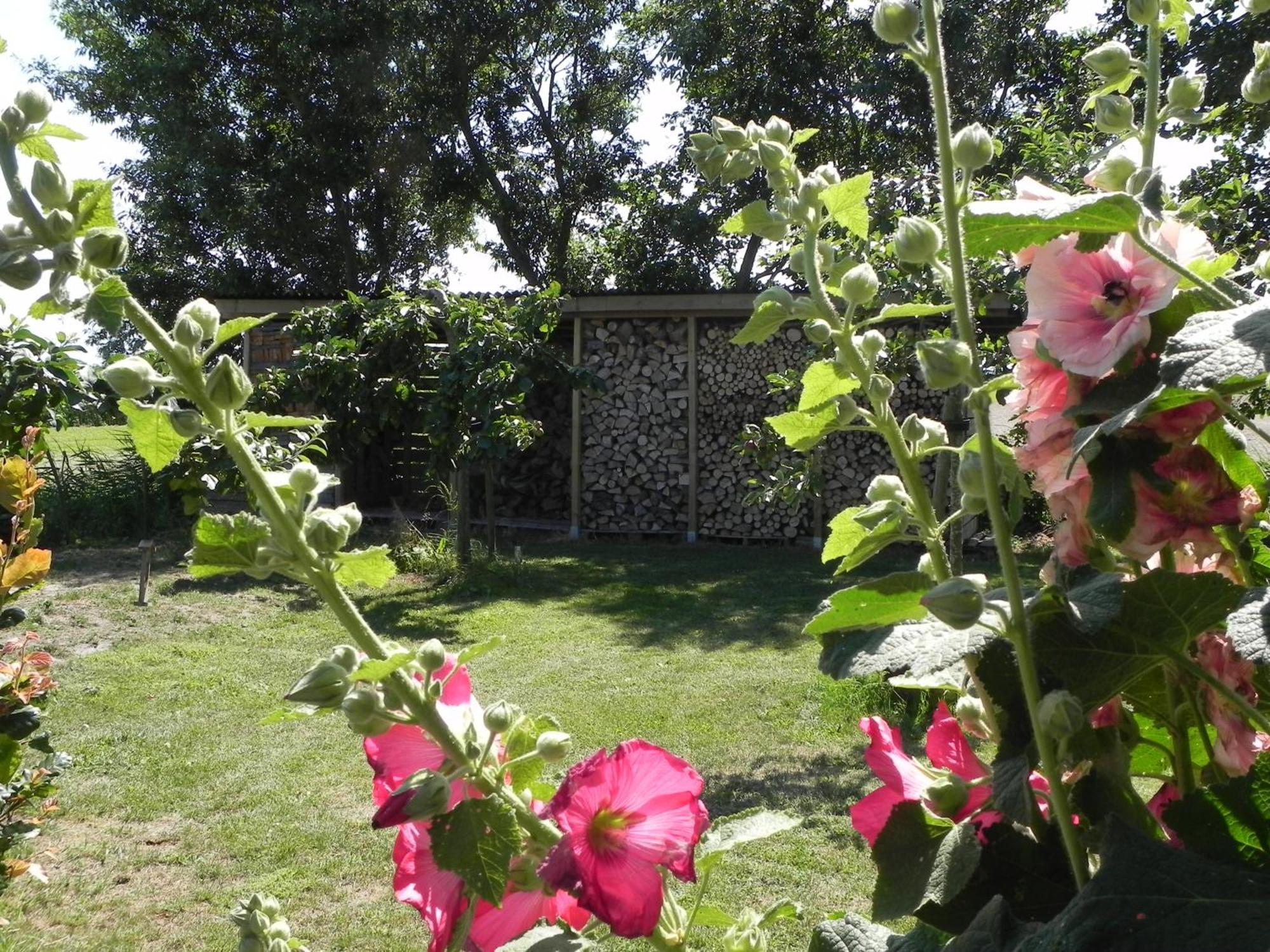 Appels en Peren Bed and Breakfast Breezand Rum bild