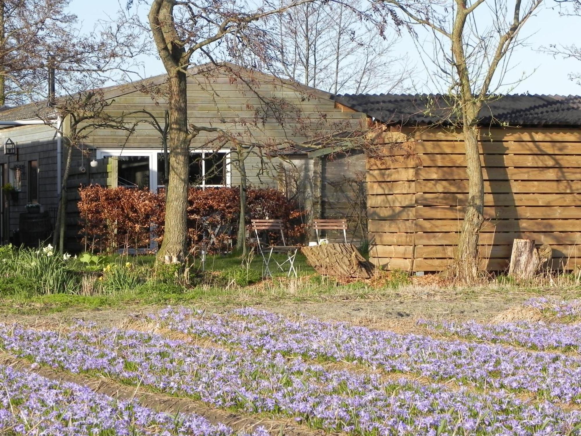 Appels en Peren Bed and Breakfast Breezand Rum bild