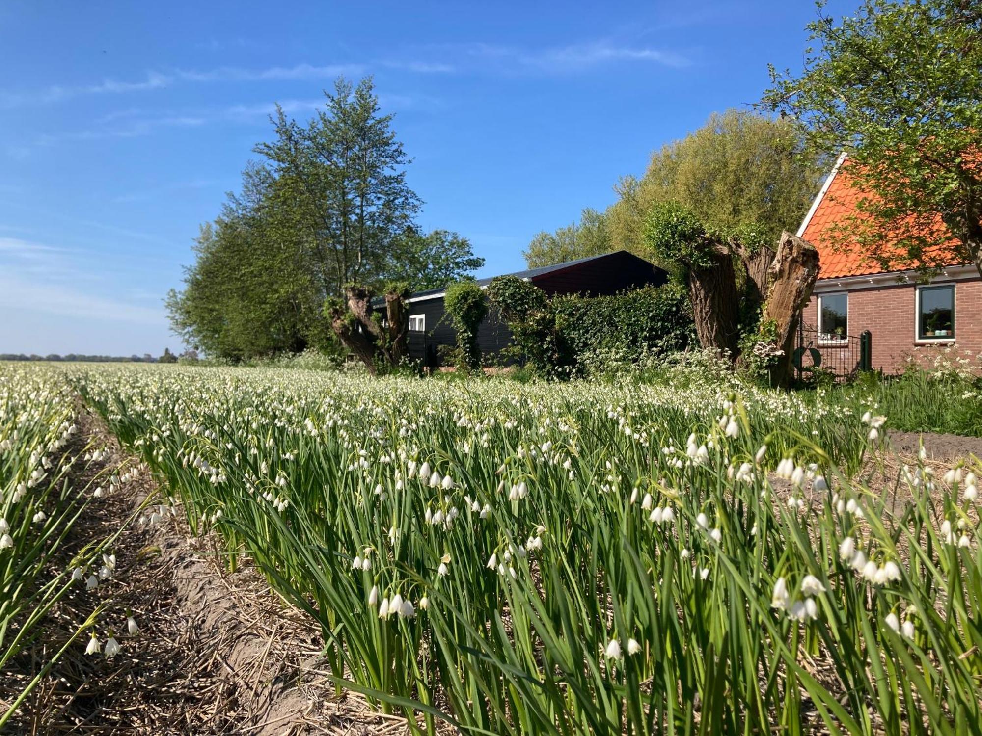 Appels en Peren Bed and Breakfast Breezand Exteriör bild