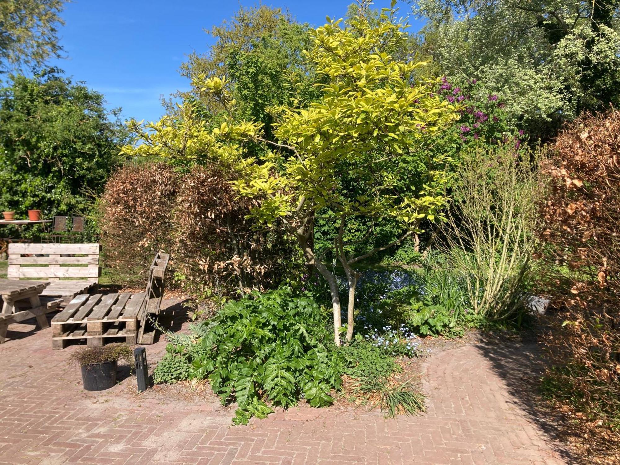 Appels en Peren Bed and Breakfast Breezand Exteriör bild