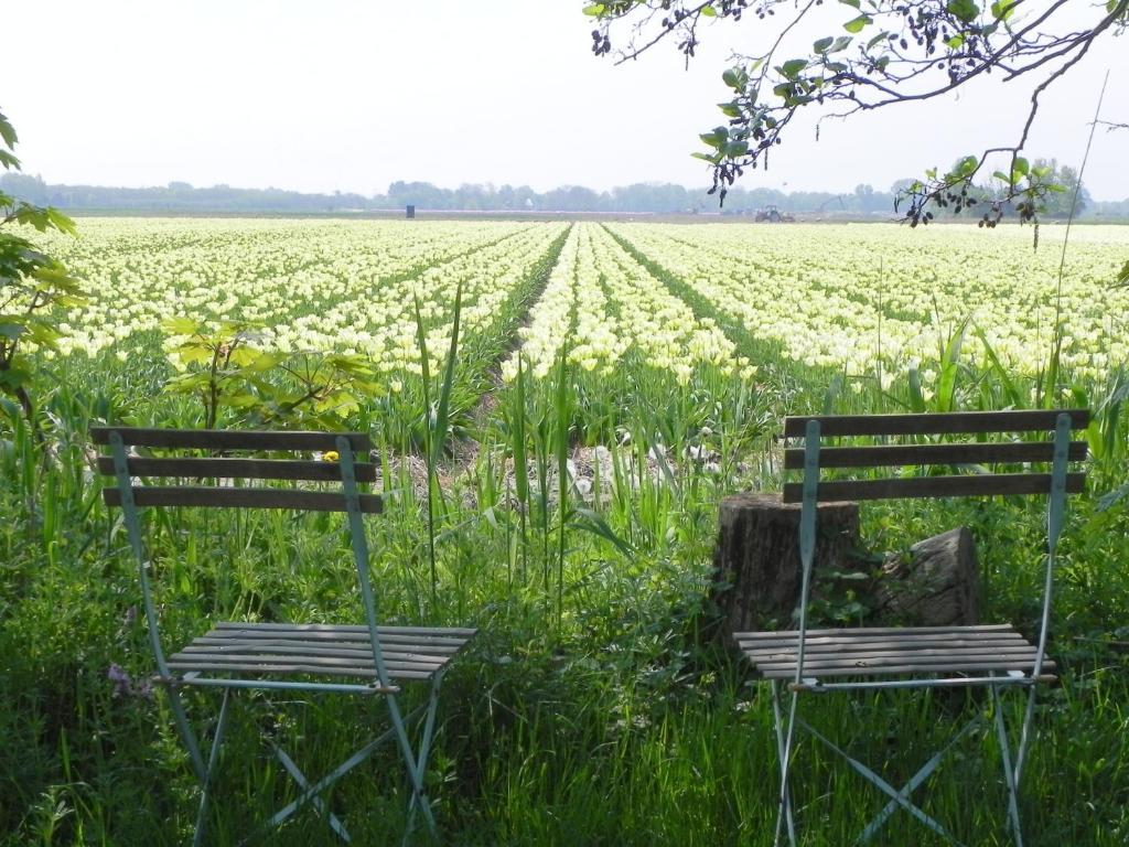 Appels en Peren Bed and Breakfast Breezand Rum bild