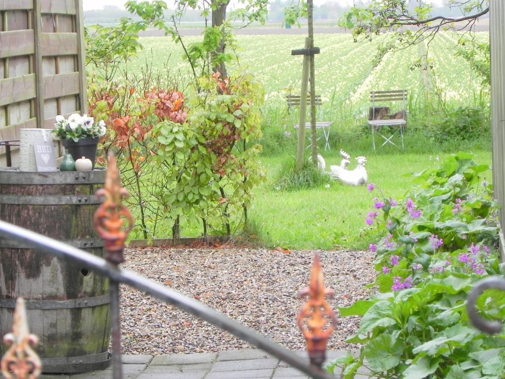 Appels en Peren Bed and Breakfast Breezand Rum bild